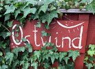 Ostwind